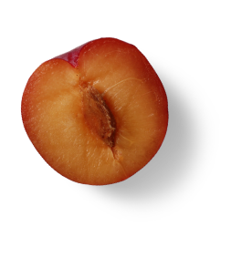 plum-half
